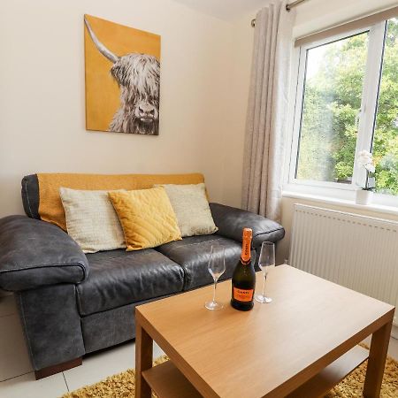 Villa Hafan Fach Mold Esterno foto